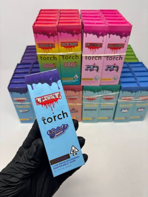 torch disposable