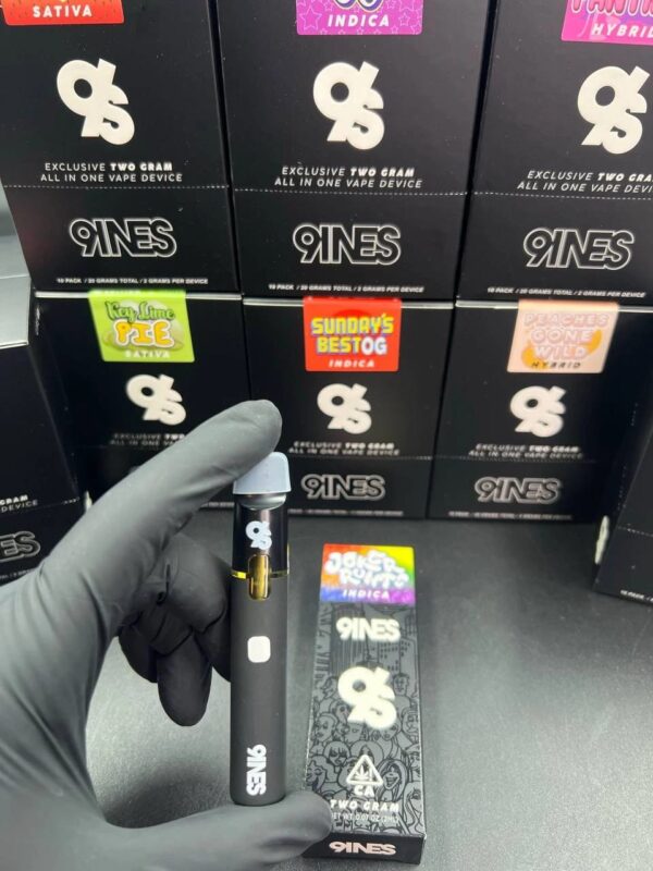 9ines disposable