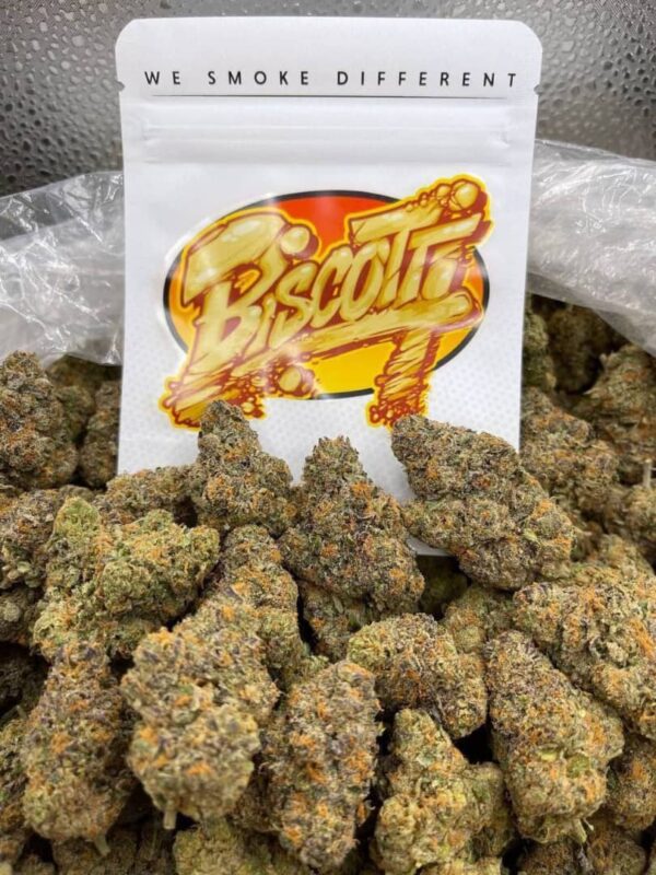 biscotti strain