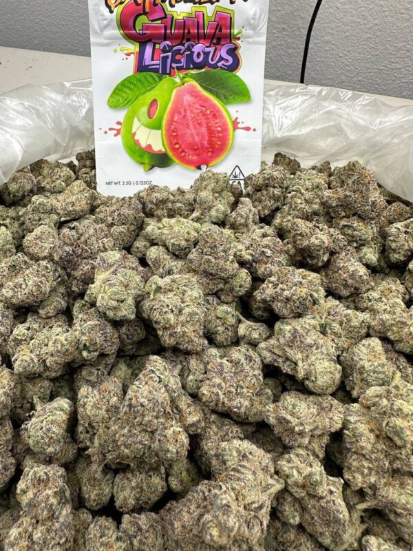 guavalicious strain