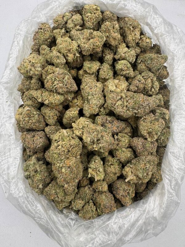 alien cookies