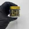 dr. zodiak's moonrock