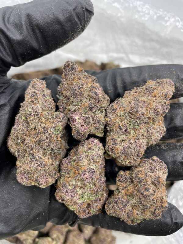 orange fanta strain