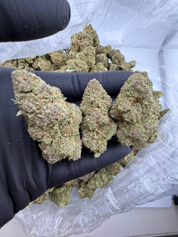 strawberry cookies strain