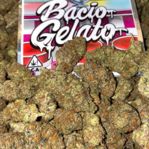 bacio gelato strain