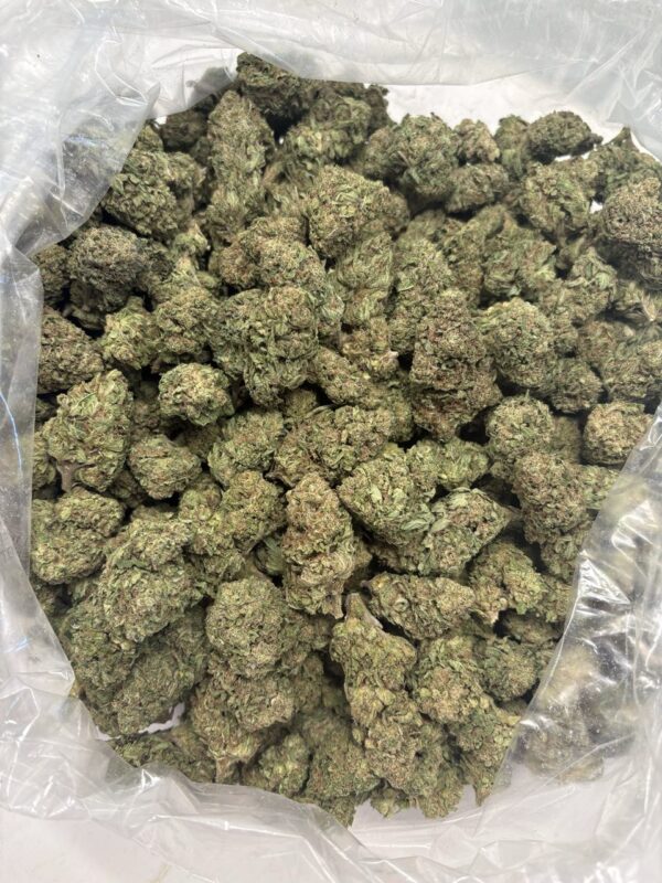 georgia pie strain