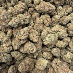 sherbanger strain