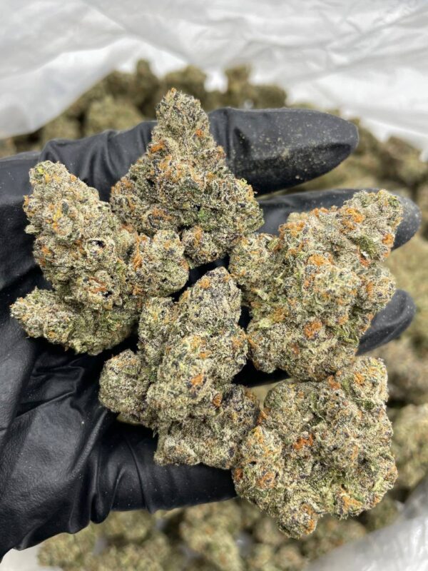 unicorn candy strain
