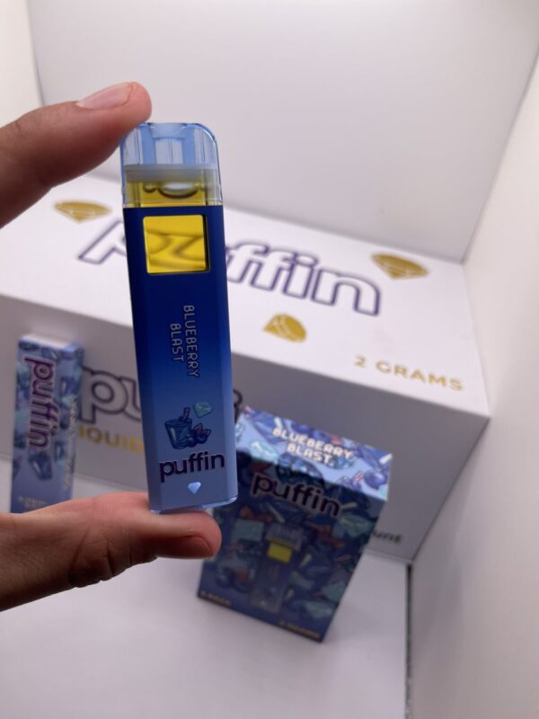 new puffin 2g disposable